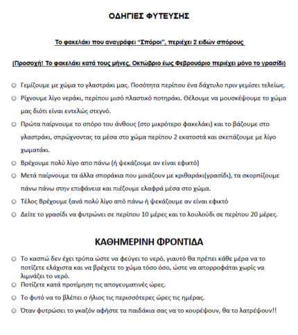 Χειροποίητη Παιδική Μπομπονιέρα Γλαστράκι με Όνομα - Λουλούδι